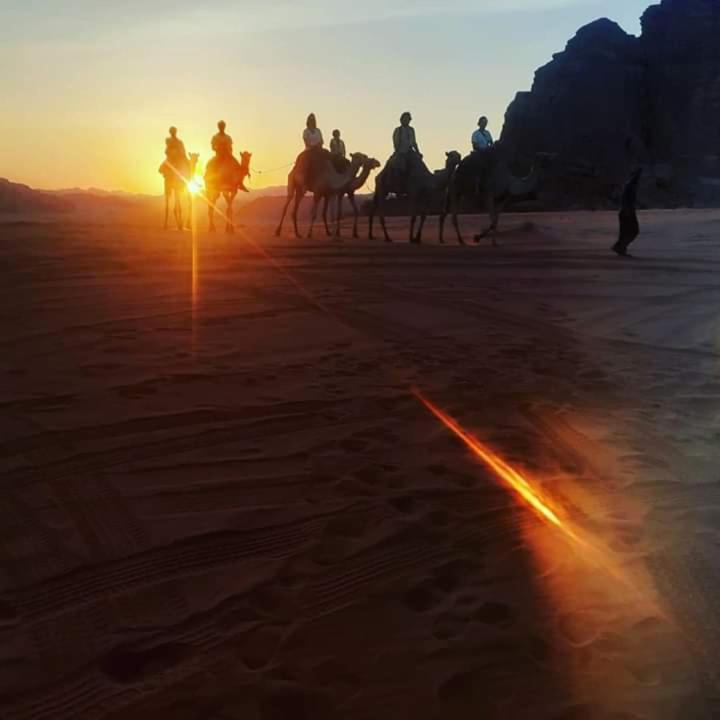 Bedouin Campsite & Tours Hotel Wadi Rum Exterior photo