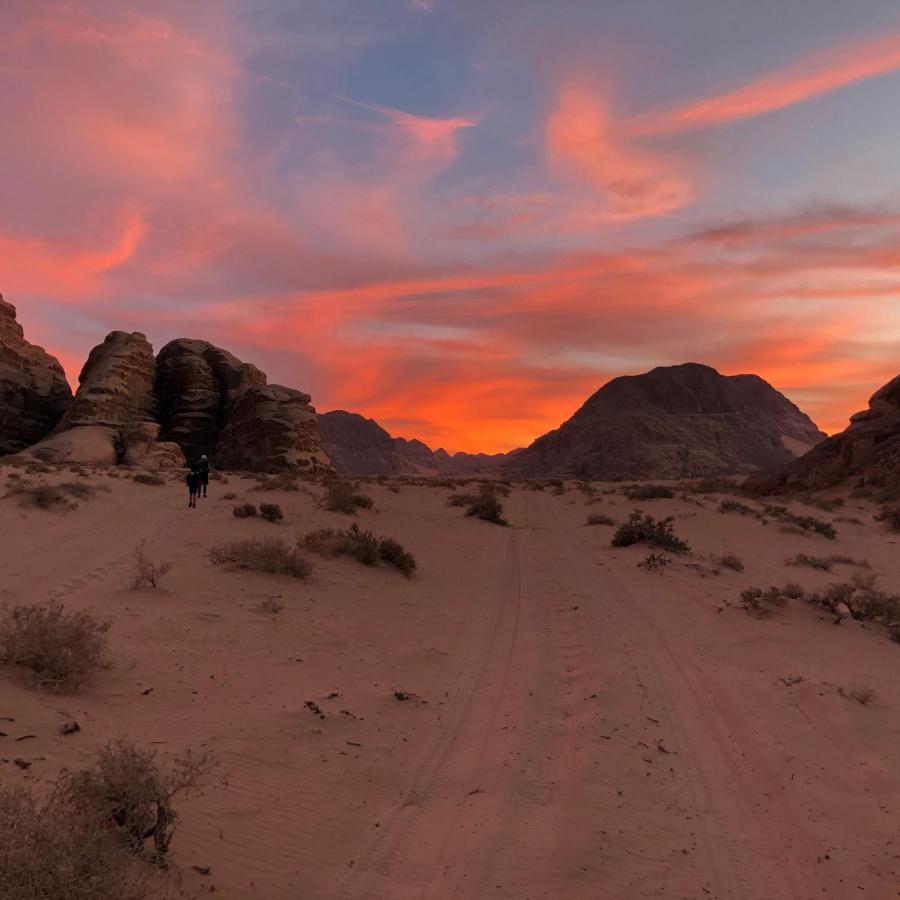 Bedouin Campsite & Tours Hotel Wadi Rum Exterior photo